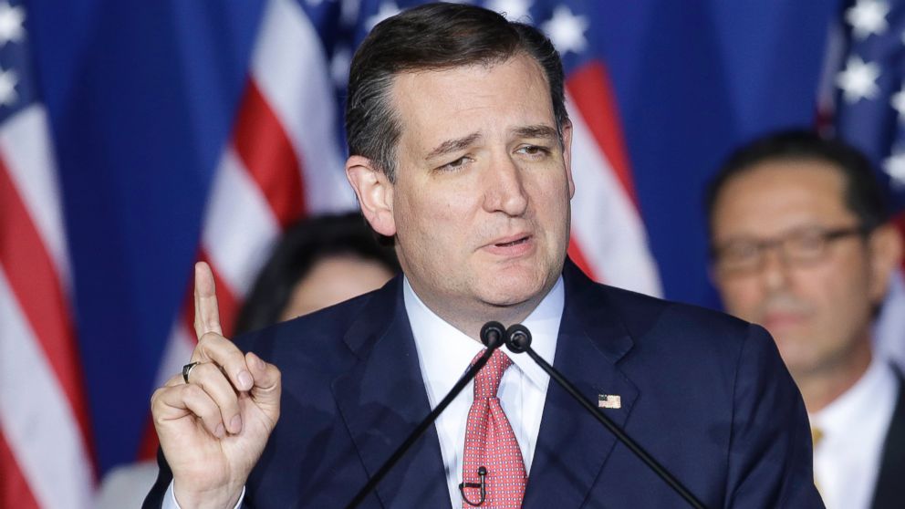 Ted Cruz Senator Texas 2016 Republican President Campaign Sign Placard