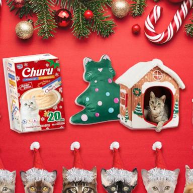 Shop cat treats, toys and more for the holidays and beyond 