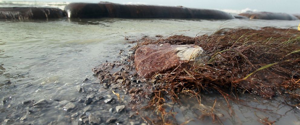 bp client base lost due to oil spill