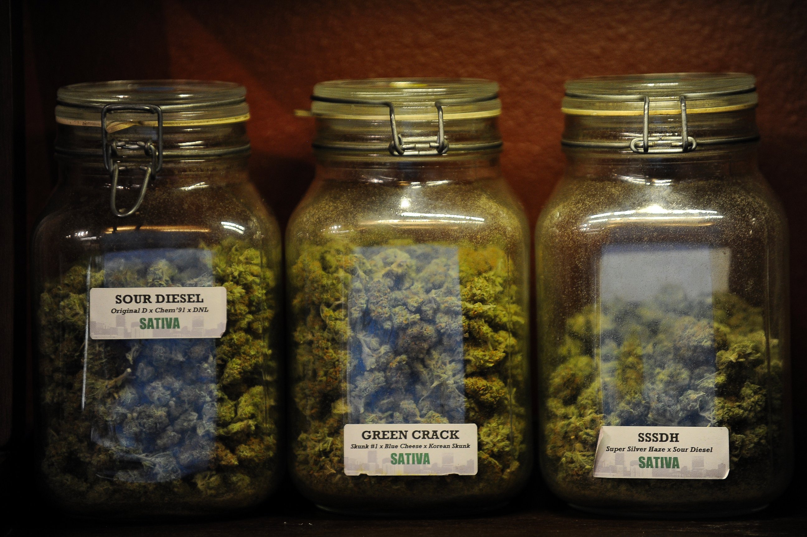 PHOTO: Strains of marijuana are shown at Denver Kush Club in Denver, Colorado on Jan. 1, 2014.