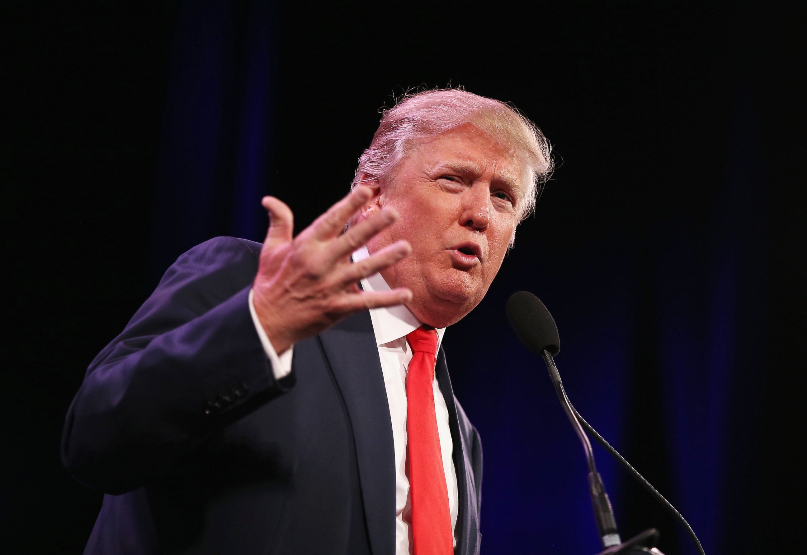 PHOTO: Donald Trump speaks to guests at the Iowa Freedom Summit on Jan. 24, 2015 in Des Moines, Iowa.