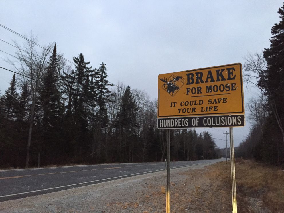 PHOTO: Welcome to New Hampshire's infamous North Country, where residents here have pickup trucks instead of garbage service, and backyard wells instead of plumbing grids. 