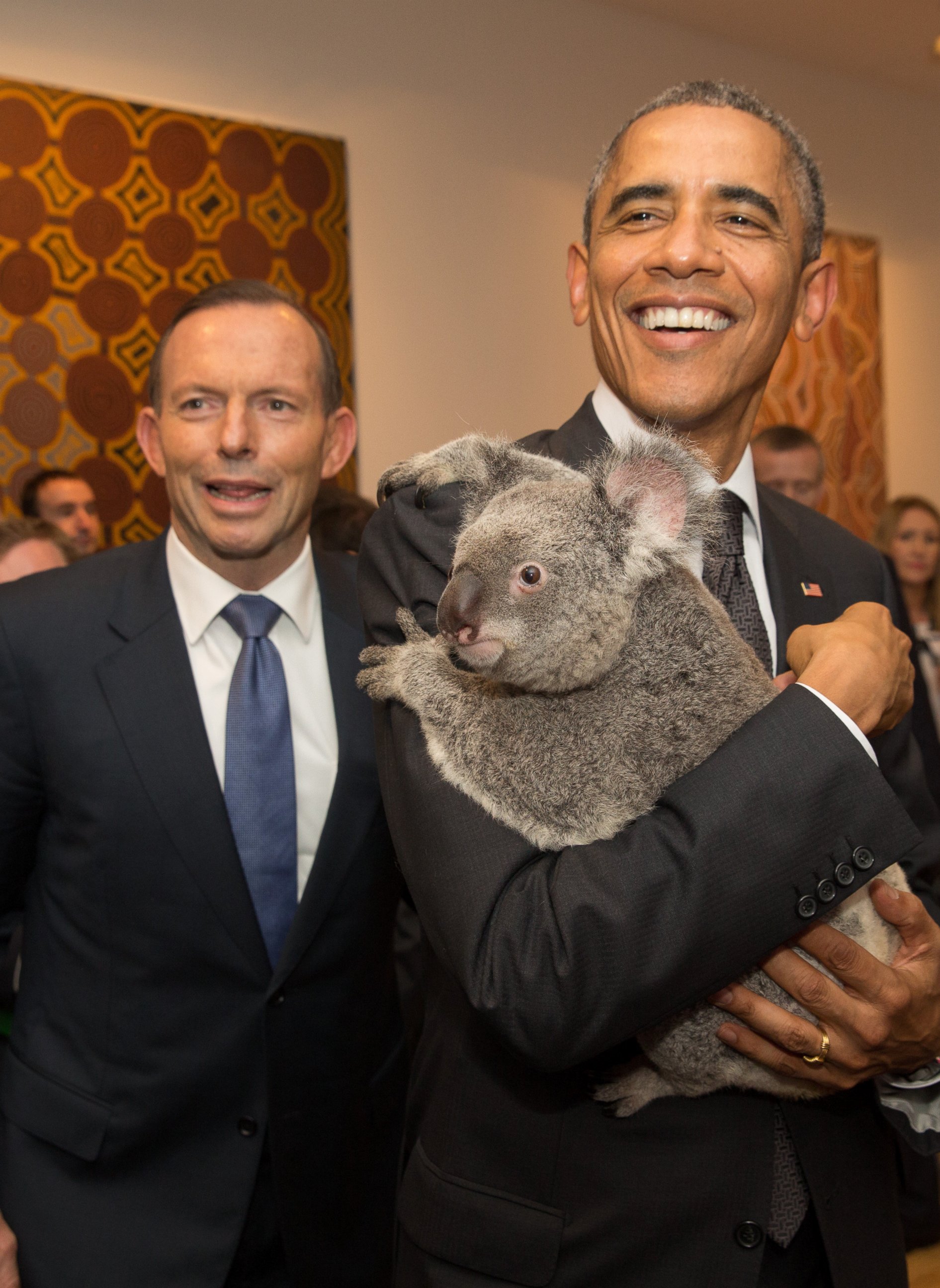PHOTO: President Obama, pictured here with Australian Prime Minister Tony Abbott holds a koala