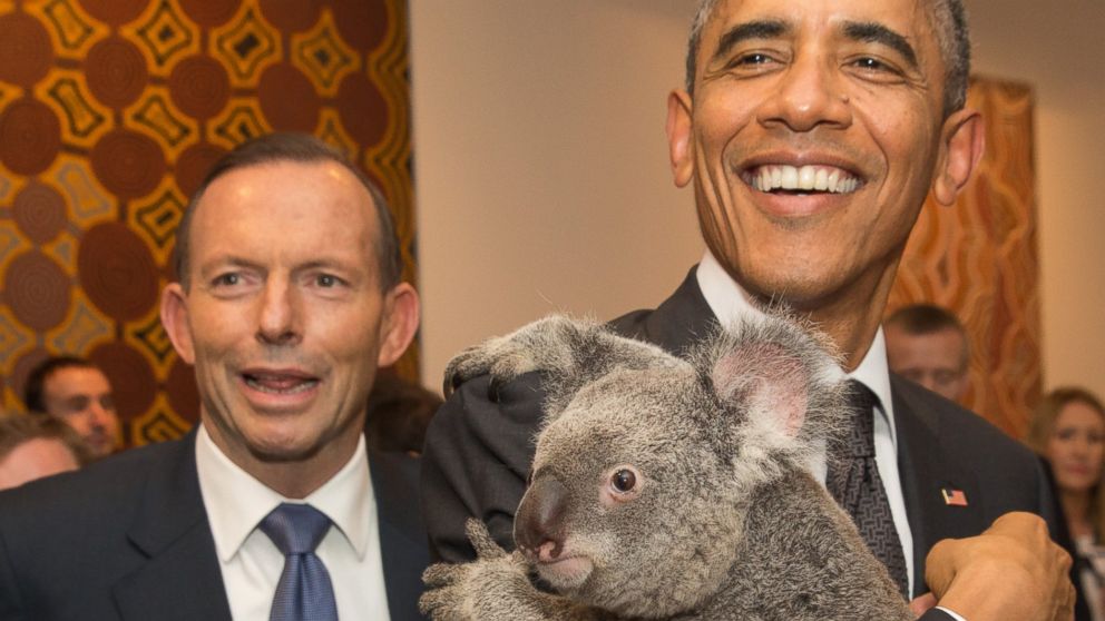 PHOTO: President Obama, pictured here with Australian Prime Minister Tony Abbott holds a koala