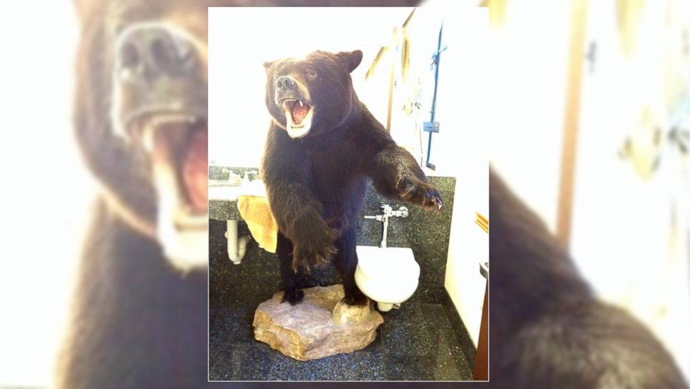 PHOTO: Former Virginia Governor Bob McDonnell left a giant bear in the bathroom as a practical joke on newly inaugurated Gov. Terry McAuliffe.