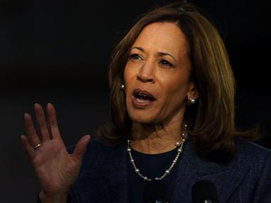 Harris paints Trump as threat, draws contrast with Biden in testy Fox News interview