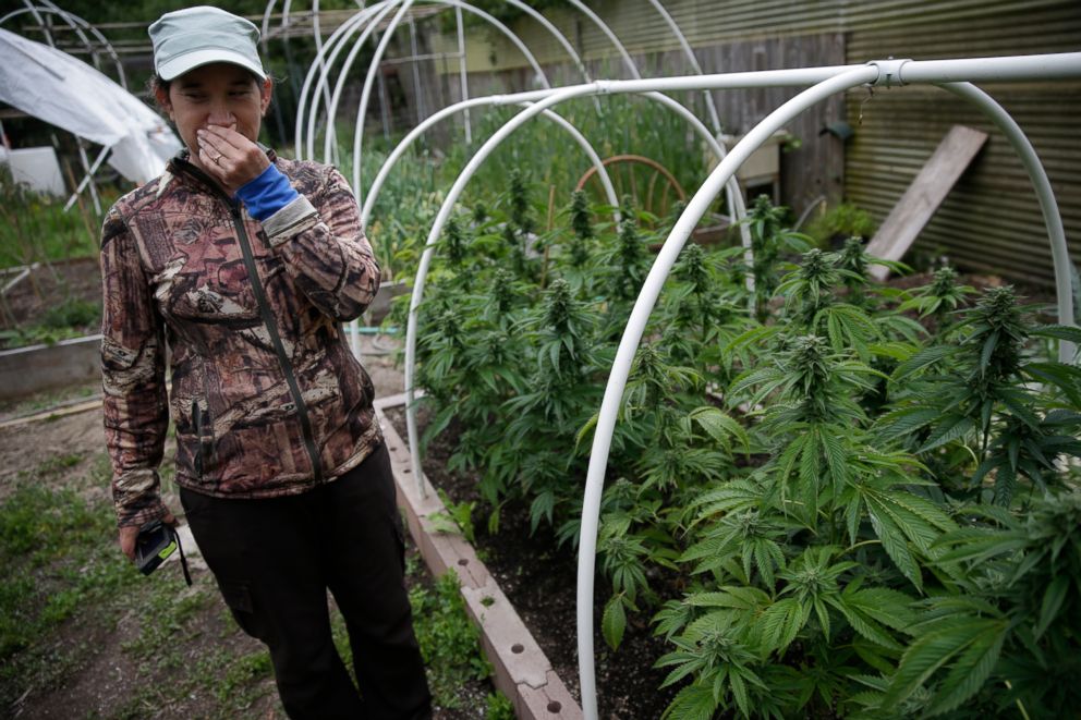 PHOTO: Sunshine Johnston, 43, grows cannabis with her husband Eric, 41, on a small family farm in Humboldt County, Calif. on May 5, 2016.