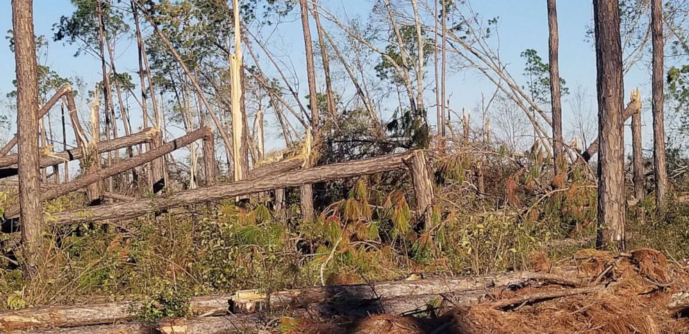 PHOTO: Damage from Hurricane Michael is seen at the McMillan Farm.