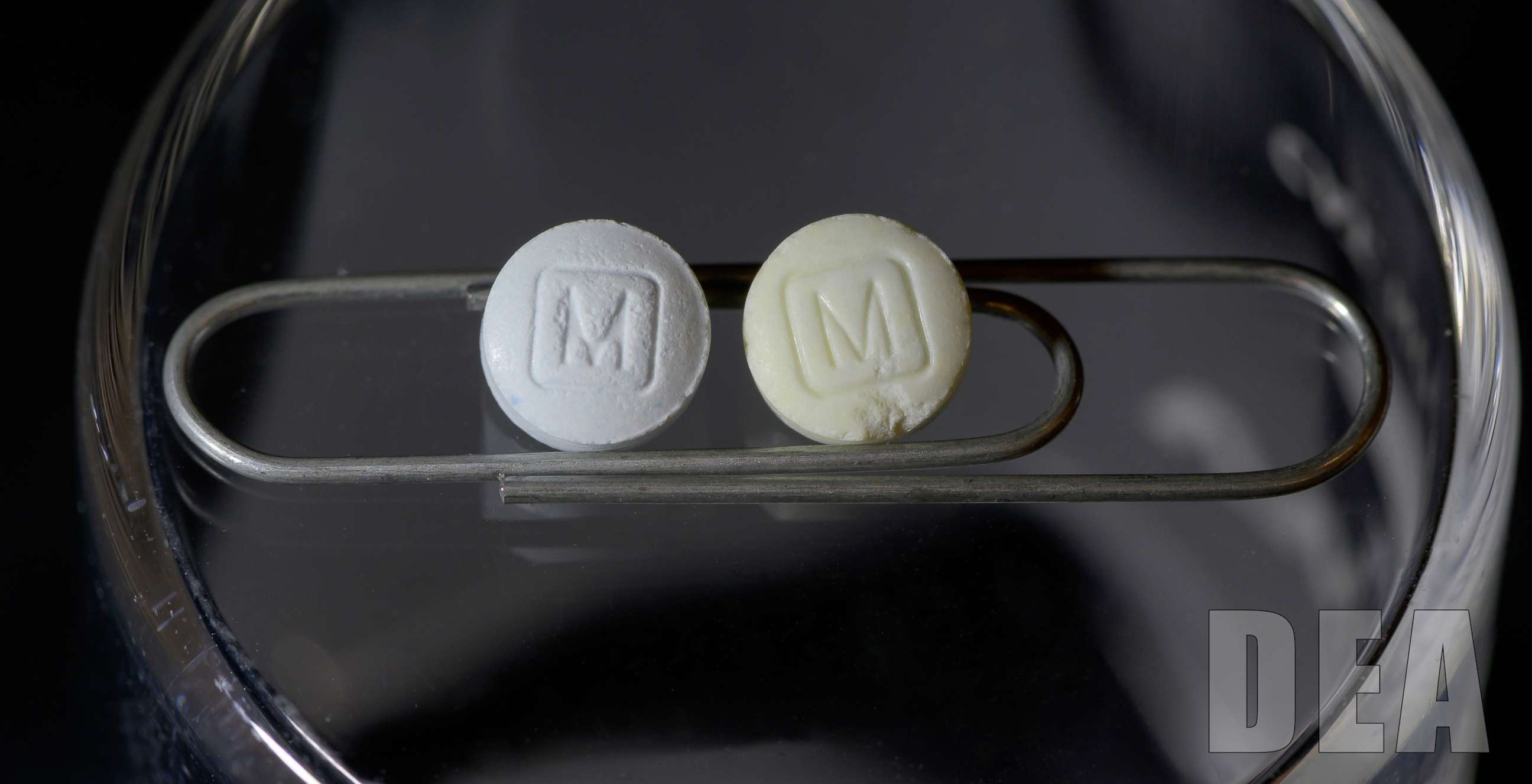 PHOTO: 30mg Authentic and Counterfeit Oxycodone.
