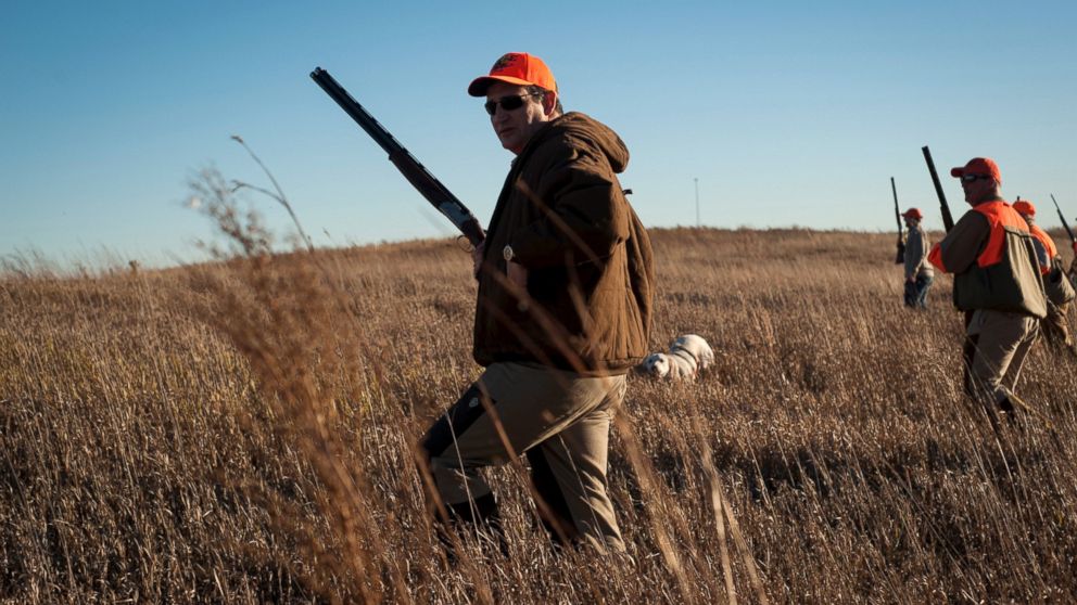 Sen. Ted Cruz hikes through tall grass at a private gaming reserve during the Col. Bud Day Pheasant Hunt hosted by Rep. Steve King outside of Akron, Iowa, Oct. 31, 2015. 