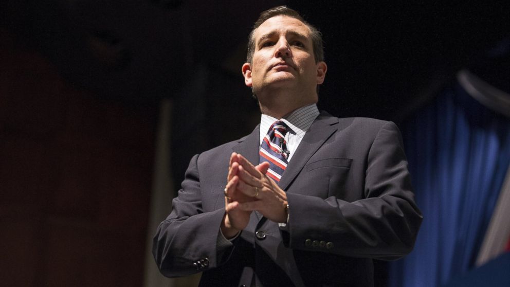 Republican presidential candidate Senator Ted Cruz, R-TX, speaks during the Freedom Summit in Greenville, S.C., May 9, 2015. 