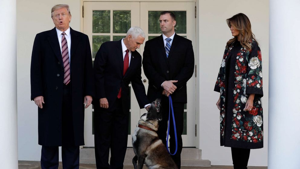 VIDEO: Hero dog from al-Baghdadi raid visits the White House