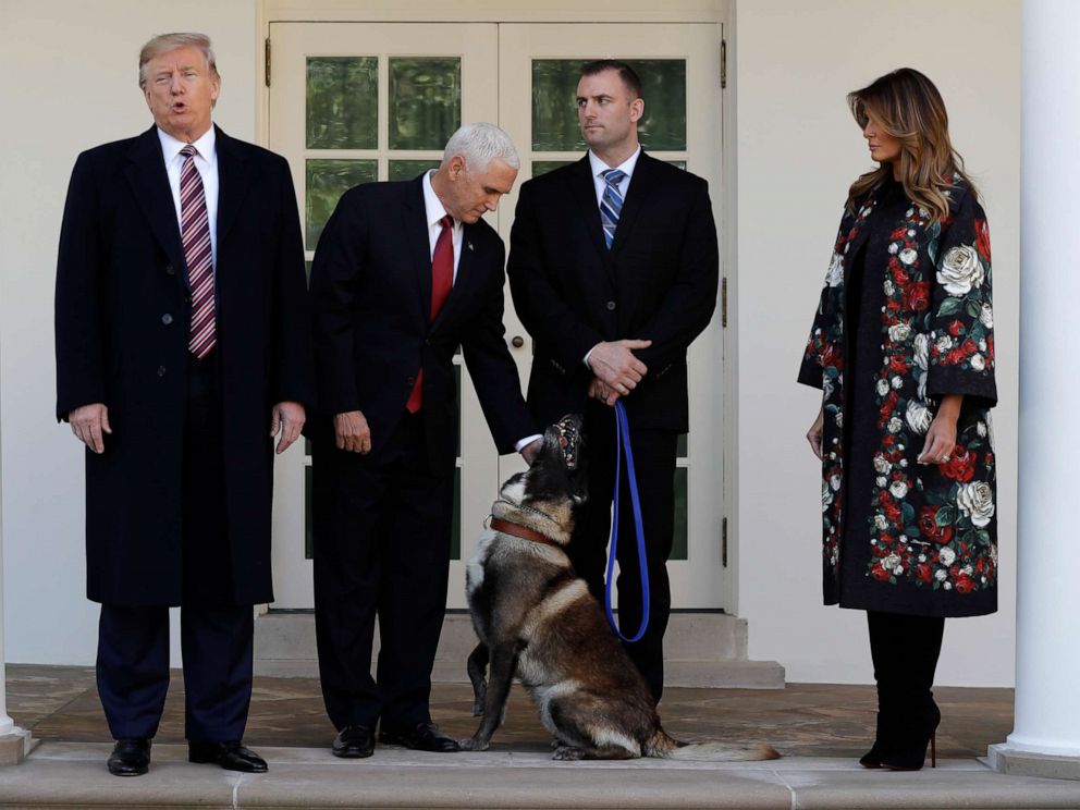 Trump Welcomes Conan, Hero Dog From Al-Baghdadi Raid, To White House ...