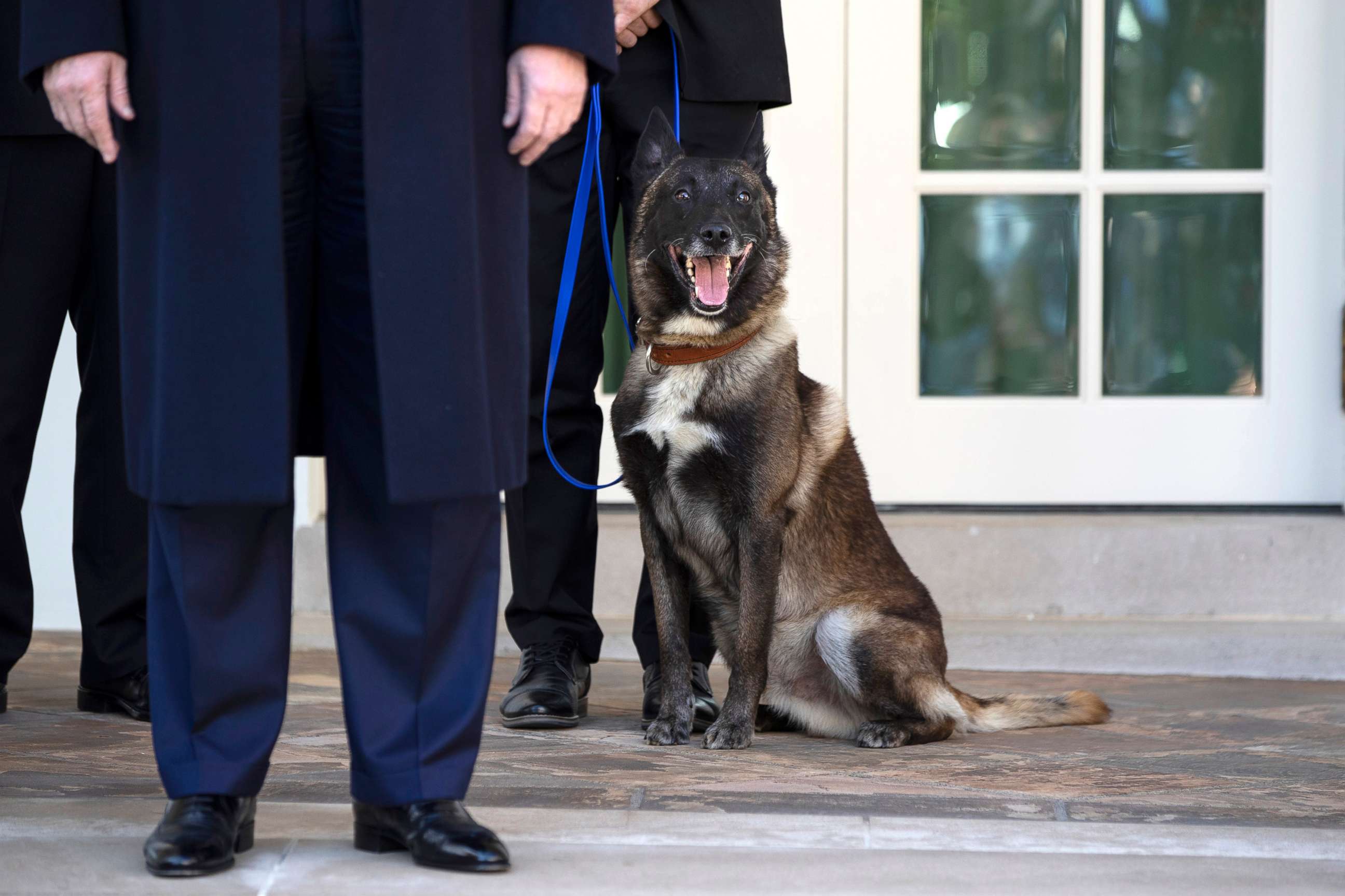 PHOTO: President Donald Trump stands with Conan, the U.S. Army dog that participated in the raid that killed ISIS leader Abu Bakr al-Baghdadi, in the Rose Garden of the White House, Nov. 25, 2019.