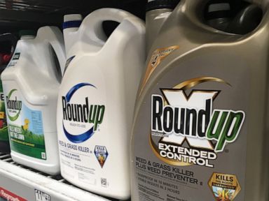 Court rejects Trump-era EPA finding that weed killer safe thumbnail