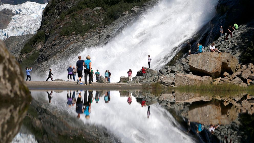 US to end large, old-growth timber sales in Alaska forest