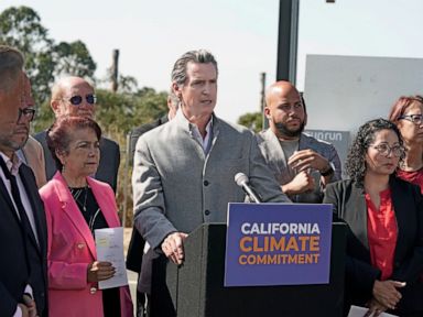 Tax the rich for more EVs? California Democrats split thumbnail