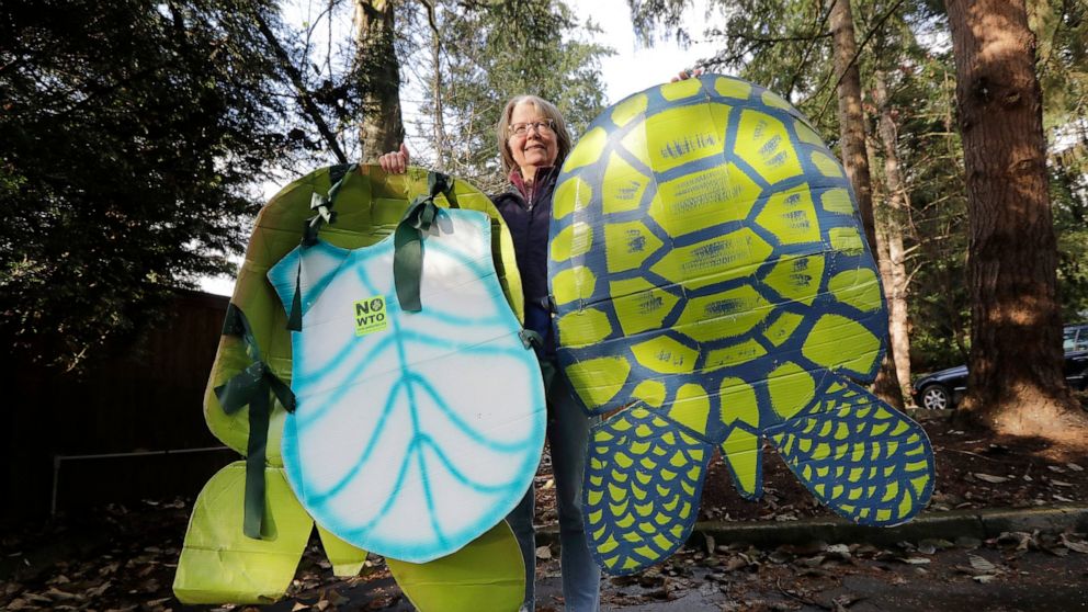 Impact Of Wto Protests In Seattle Still Felt 2 Decades Later Abc News - Sea Turtle Costume Diy
