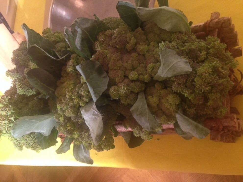 PHOTO: Broccoli harvested from the White House Kitchen Garden