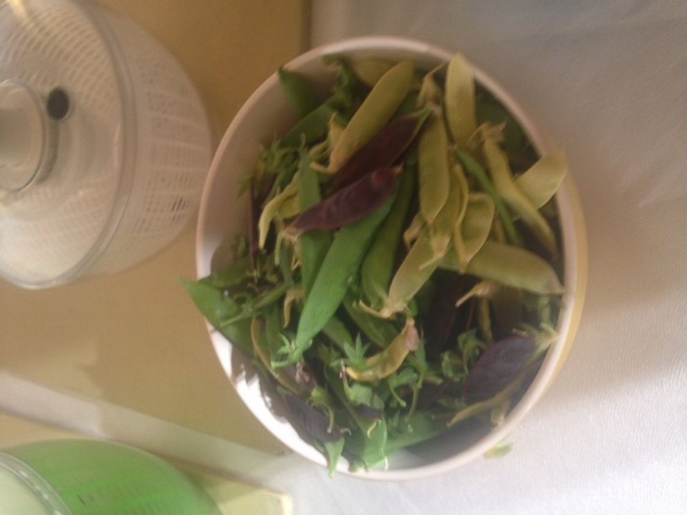 PHOTO: Lettuce and snap peas harvested from the White House Kitchen Garden assembled in a bowl.