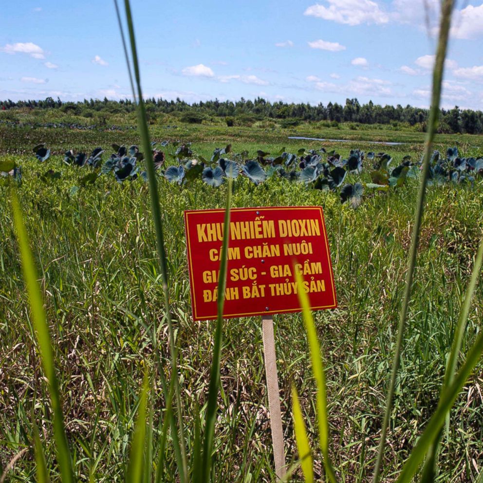 Scientists Call On Va To Study Agent Orange Impact In Vietnam Veterans Kids Abc News