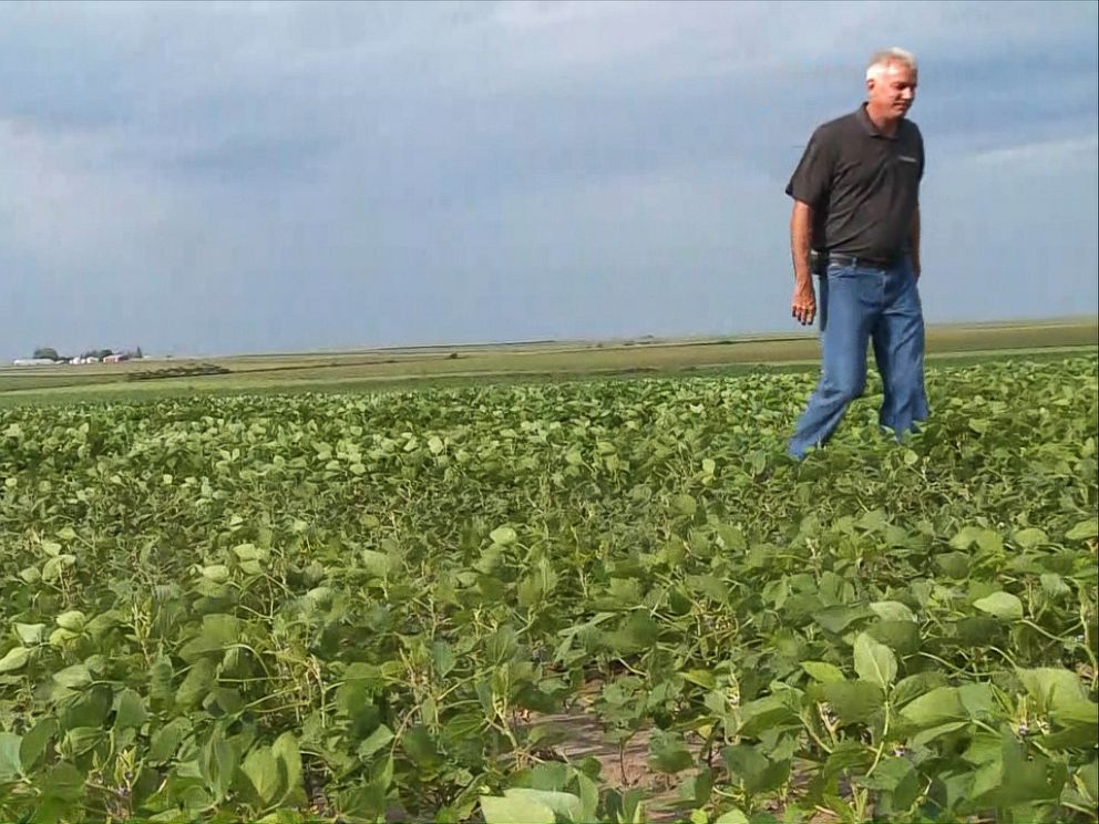 PHOTO: Farmers face a nearly 20 percent drop in the price of soybean harvests this year and more than 15 percent drop in the price of corn, according to the Iowa Corn Growers Association. The new tariffs are seen as the primary cause.