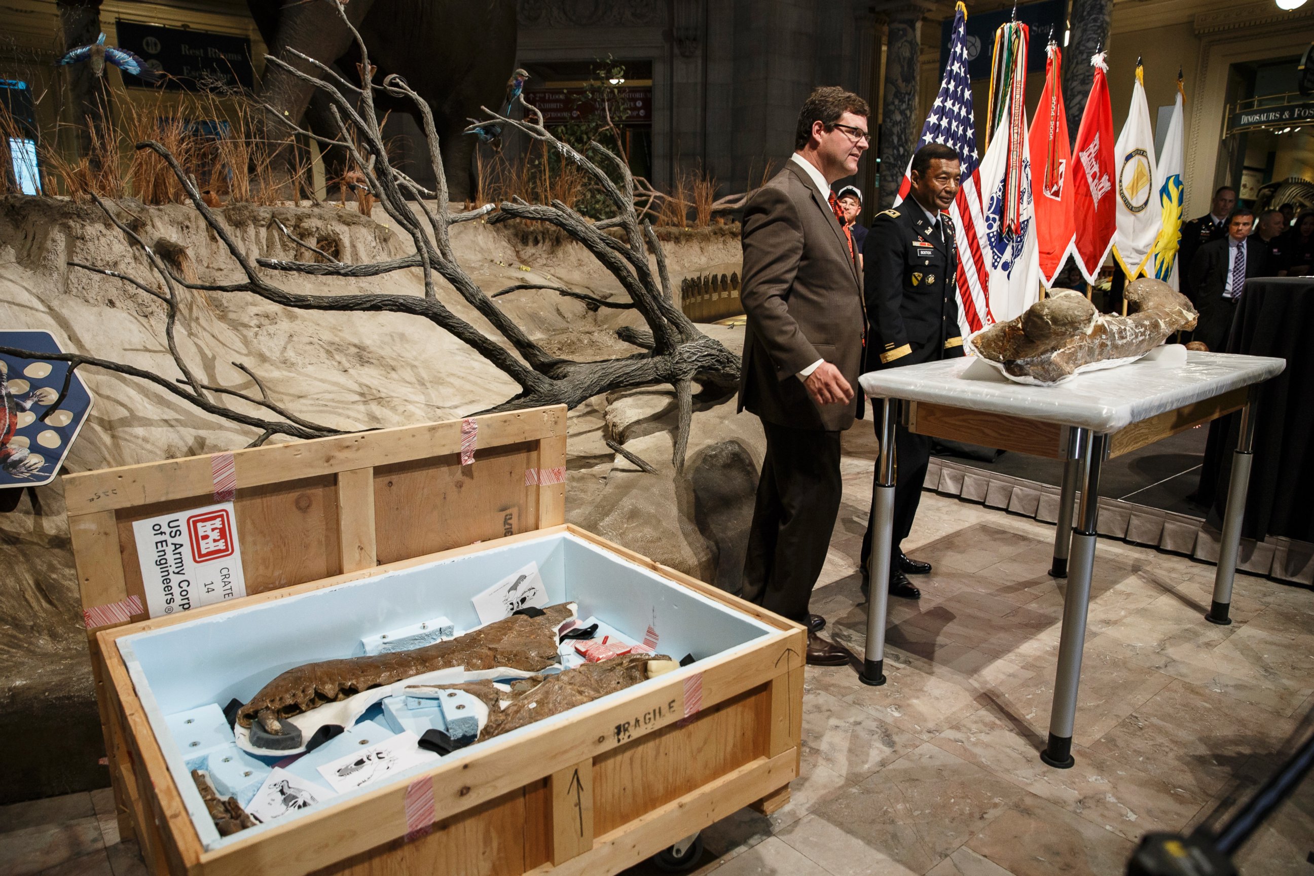 PHOTO: Smithsonian National Museum of Natural History Director Kirk Johnson, left, and Lt. Gen. Thomas Bostick unveil the fossilized bones of a Tyrannosaurus rex during a ceremony at the museum in Washington, April 15, 2014. 