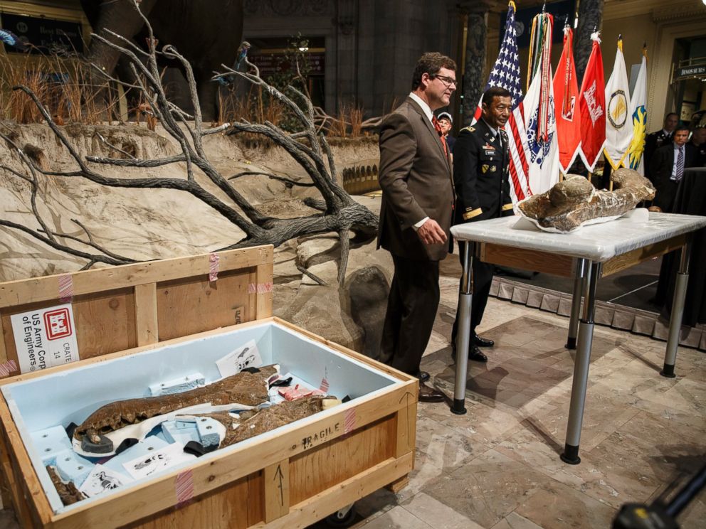 PHOTO: Smithsonian National Museum of Natural History Director Kirk Johnson, left, and Lt. Gen. Thomas Bostick unveil the fossilized bones of a Tyrannosaurus rex during a ceremony at the museum in Washington, April 15, 2014.