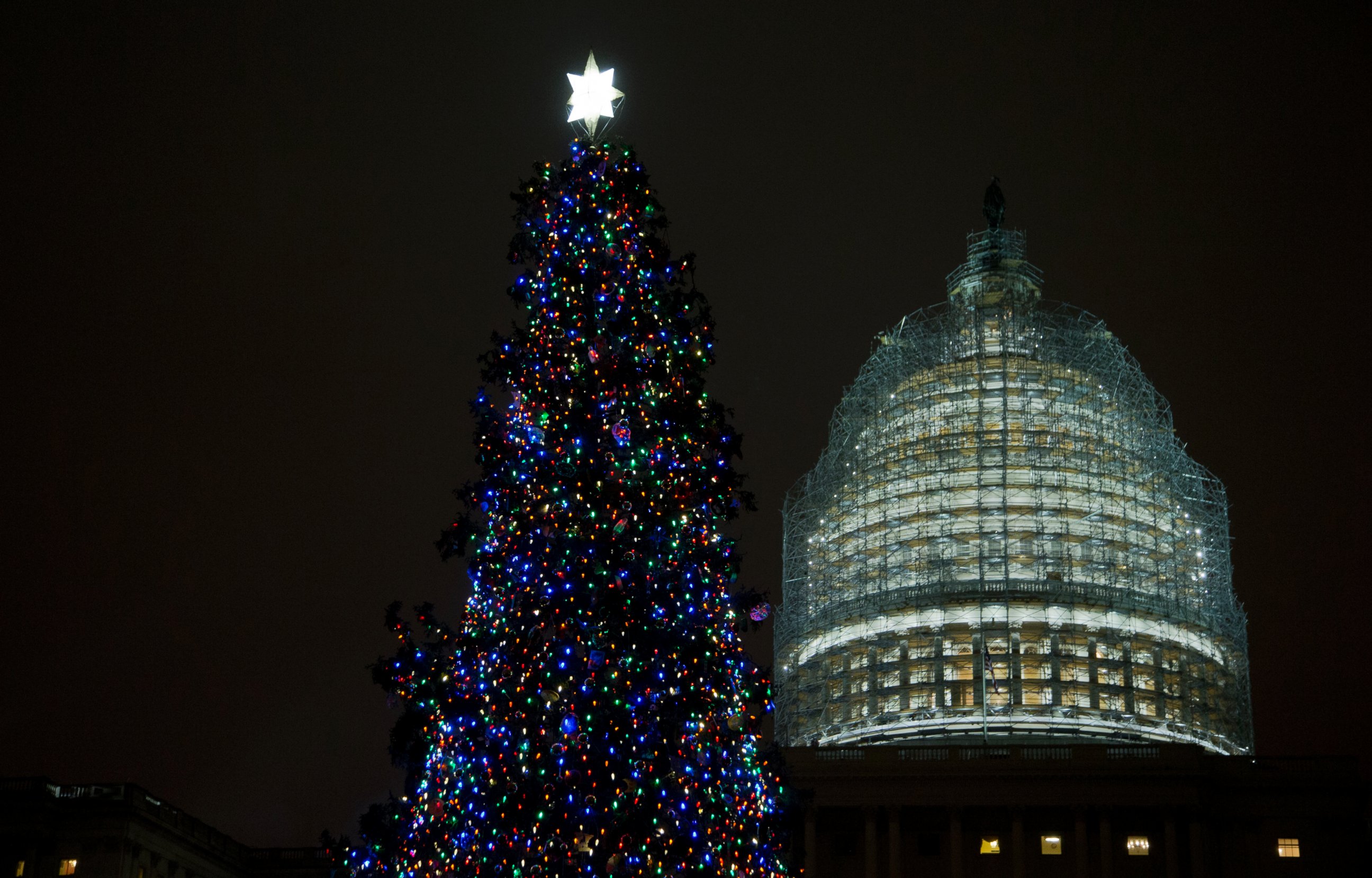 PHOTO: The U.S. Capitol Christmas tree is seen on the West Front of the Capitol in Washington on Dec. 2, 2014. The 2014 U.S.