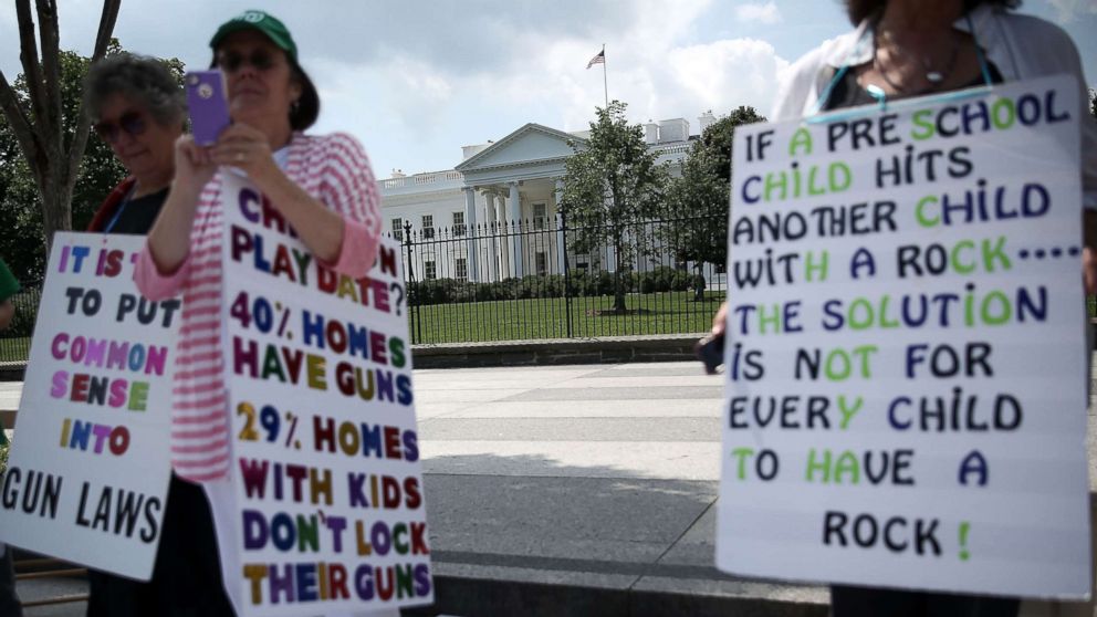 PHOTO: Linda Finkel-Talvadkar, Helen Ramsey, and Barbara Elsas, hold signs during a gun control demonstration in front of the White House, June 17, 2013. 