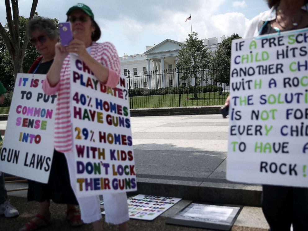 PHOTO: Linda Finkel-Talvadkar, Helen Ramsey, and Barbara Elsas, hold signs during a gun control demonstration in front of the White House, June 17, 2013.