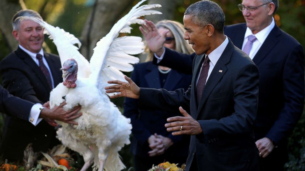 Turkeys Pardoned By Trump And Obama Now Birds Of A Feather In Virginia Abc News