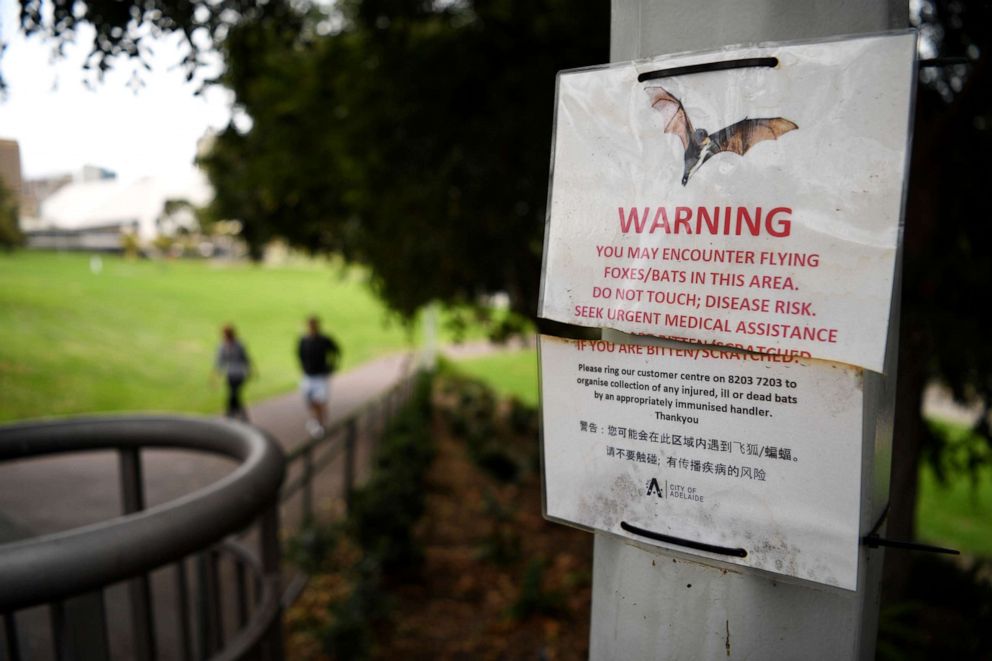 PHOTO: A bat warning sign in Adelaide, April 1, 2020, in Adelaide, Australia.