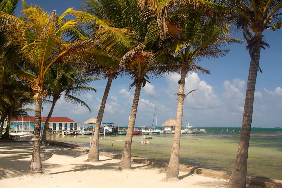 PHOTO: In this undated file photo, coconut trees are shown at the San Pedro Beach, San Pedro, Ambergris Caye, Belize.