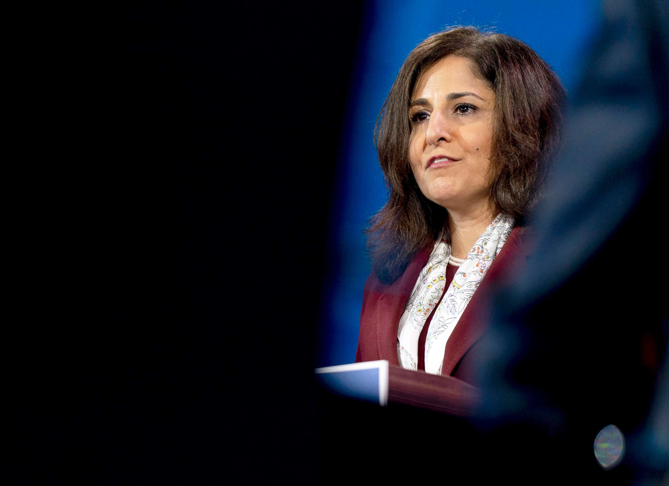 PHOTO: Neera Tanden speaks at The Queen theater in Wilmington, Del., Dec. 1, 2020.