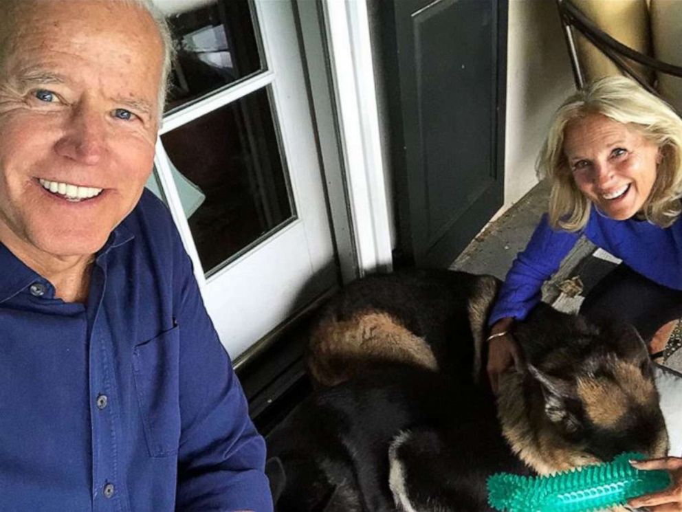 PHOTO: Joe and Jill Biden with their dogs, Major and Champ, in a photo posted to Joe Biden's Instagram account.