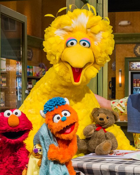 Big Bird endorsing vaccines for kids ruffles conservative feathers - ABC  News