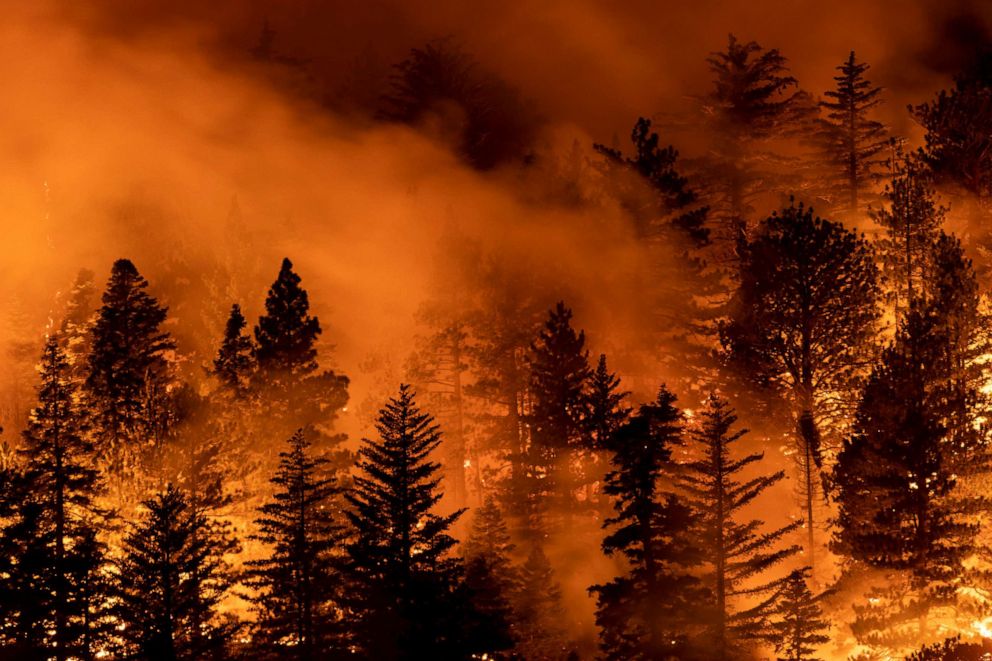 PHOTO: The Bobcat Fire burns through the Angeles National Forest on Sept. 11, 2020, north of Monrovia, Calif.