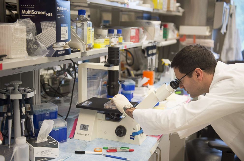 PHOTO: Dr. Christian Hinrichs works in his lab at the National Institutes of Health in Bethesda, Maryland, May 29, 2014.
