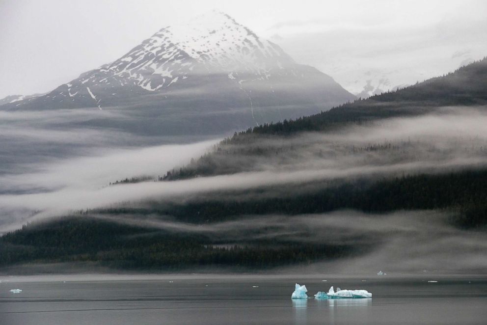 PHOTO: Icebergs near the Dawes Glacier, Endicott Arm, Tongass National Forest, Alaska.