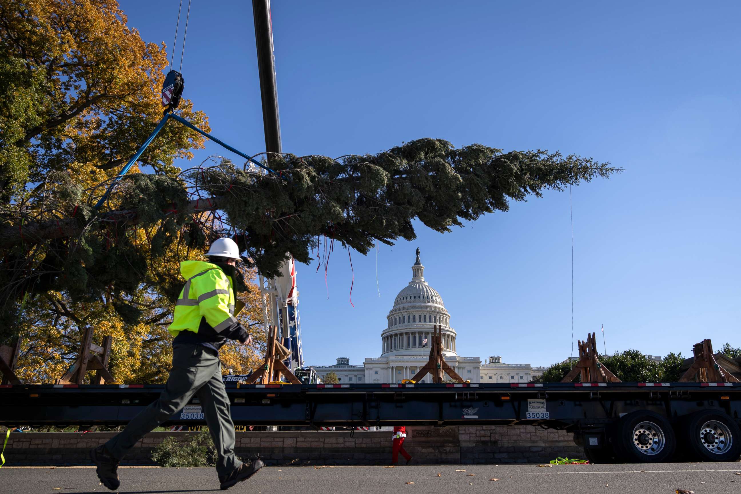 PHOTO: The U.S. Capitol Christmas tree is unloaded from a flatbed truck on the West Front of the U.S. Capitol on Nov. 19, 2021 in Washington, D.C.  This year's   Tree is an 84-foot white fir from the Six Rivers National Forest in northwest California. 