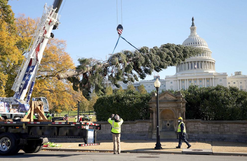 PHOTO: The 84-foot white fir Christmas tree is lifted from the truck upon its arrival from California at the U.S. Capitol in Washington, D.C., Nov. 19, 2021. 