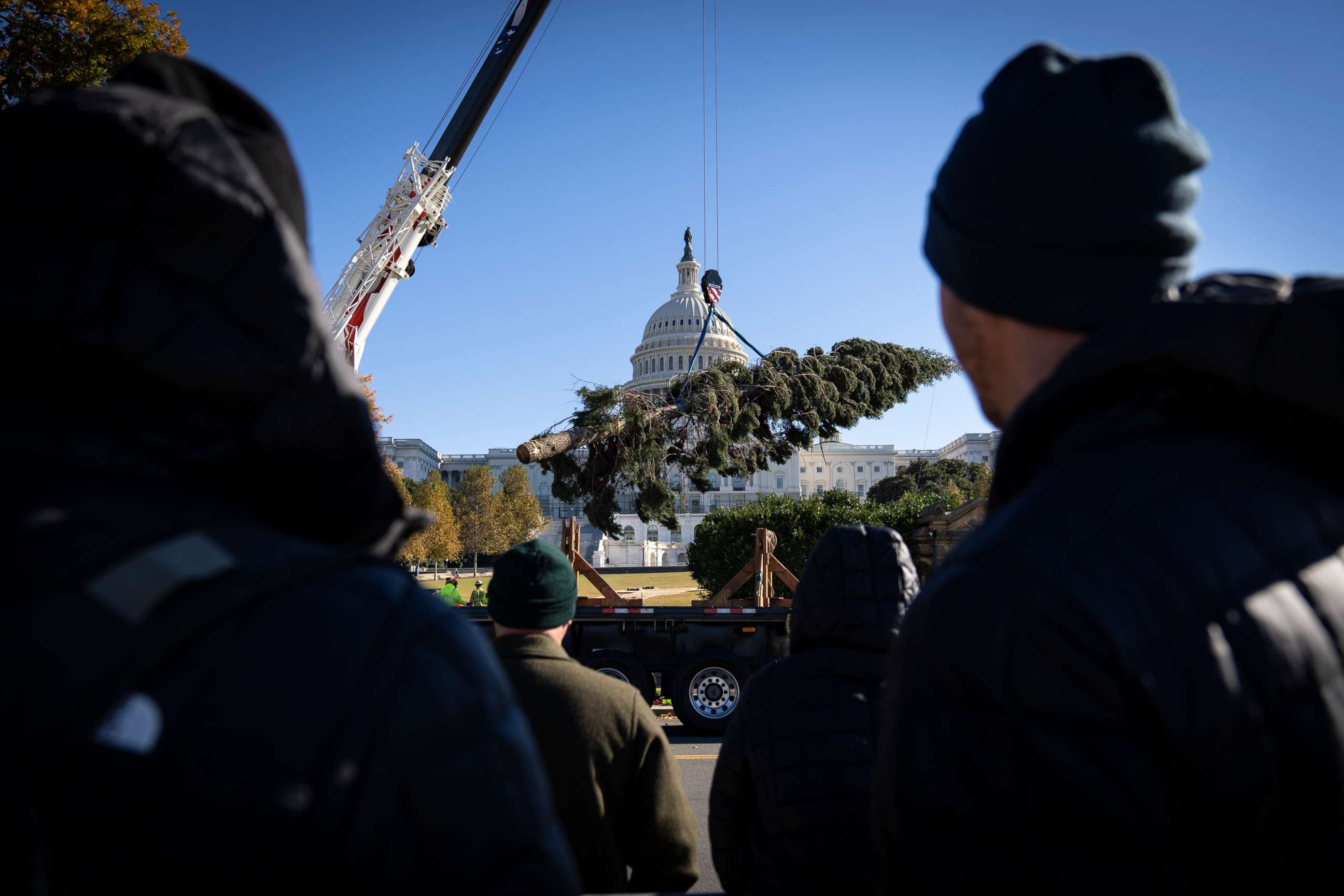 PHOTO: The U.S. Capitol Christmas tree is unloaded from a flatbed truck on the West Front of the U.S. Capitol on Nov. 19, 2021 in Washington, D.C.  This year's   Tree is an 84-foot white fir from the Six Rivers National Forest in northwest California. 