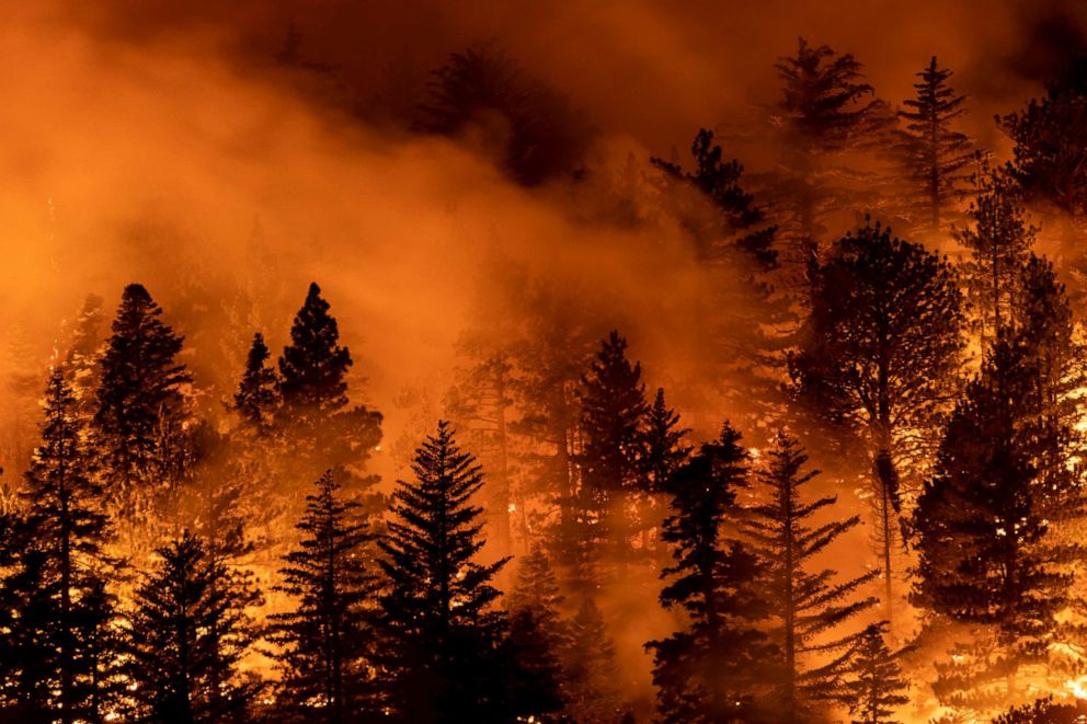 PHOTO: The Bobcat Fire burns through the Angeles National Forest, Sept. 11, 2020, north of Monrovia, California.