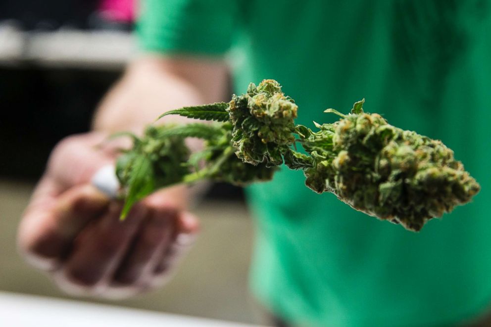 PHOTO: Marijuana samples are shown to customers at the Maine's Honest Herbs Co. booth during the 4th Annual New England Cannabis Convention in Boston, March 25, 2018.