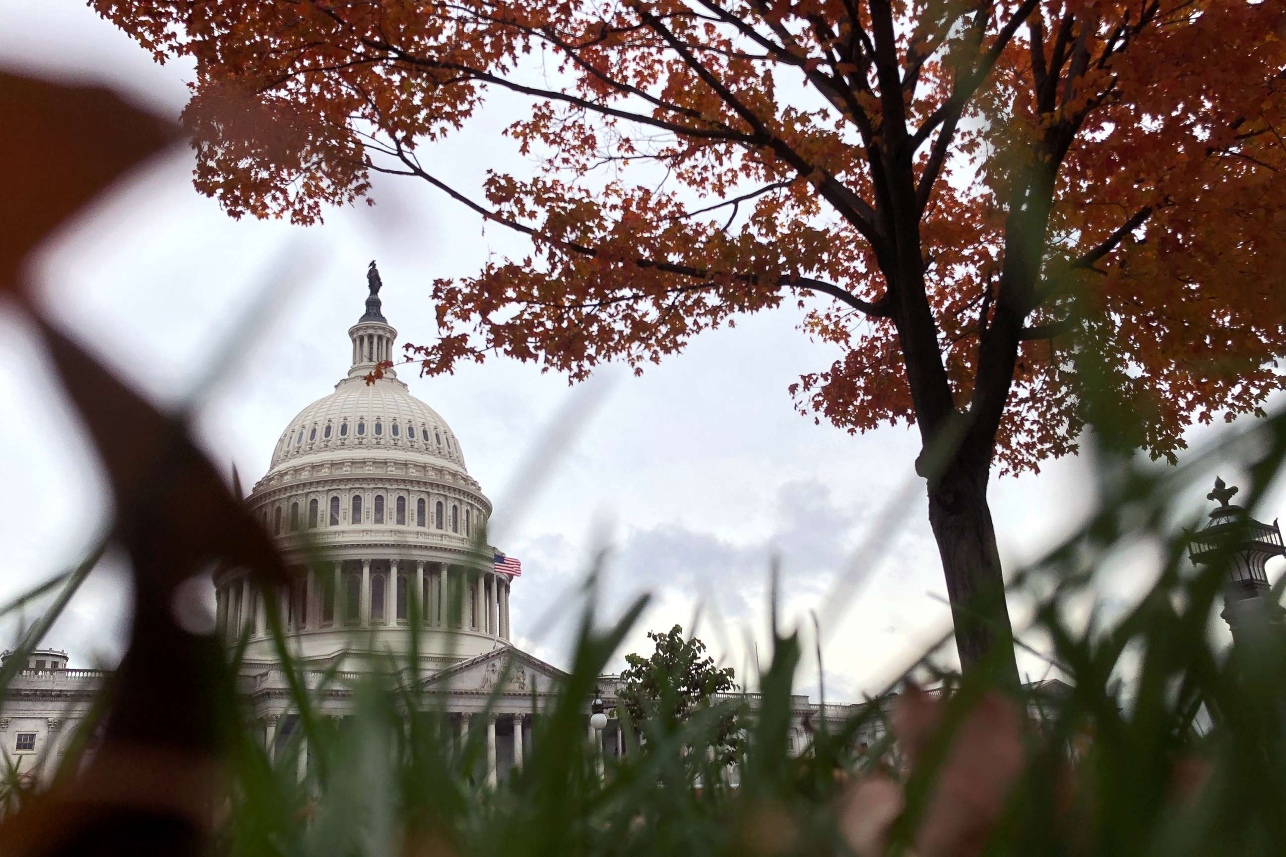 PHOTO: Autumn foliage at the U.S. Capitol in Washington, Nov. 2, 2018.