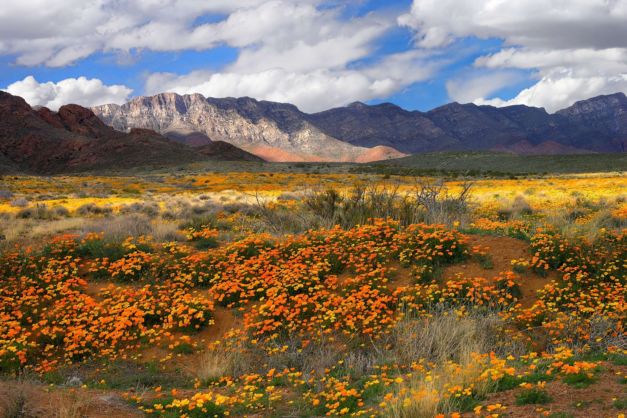 Fort Bliss's Castner Range designated national monument