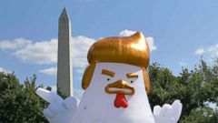 Trump Like Inflatable Chicken Protests President Across From White