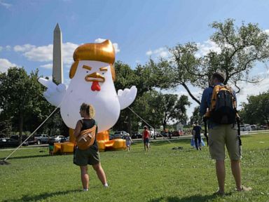 PHOTO: An inflatable chicken mimicking President Donald Trump is set up on The Ellipse, located just south of the White House and north of the Washington Monument, Aug. 9, 2017.