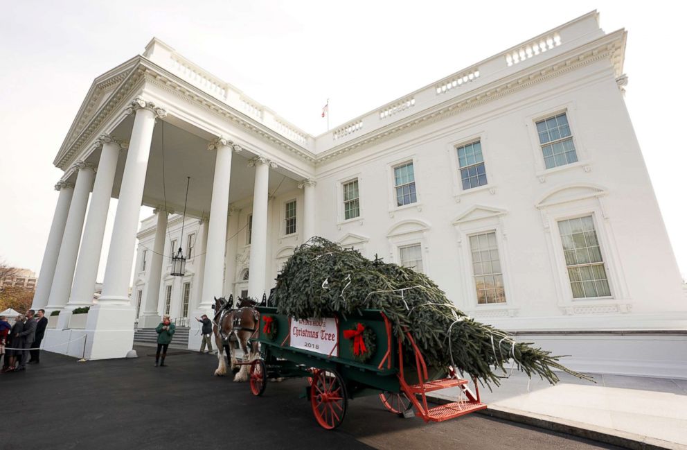 PHOTO: The official White House Christmas tree arrives at the White House, Nov. 19, 2018.